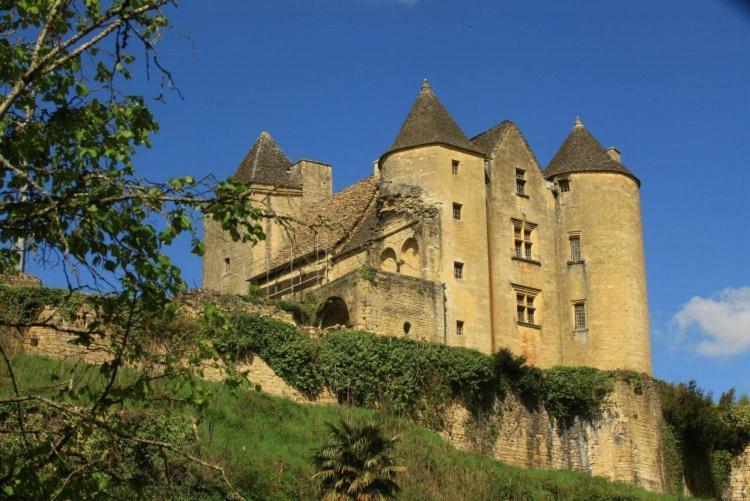 Petite Maison En Pierre Au Coeur Du Perigord Noir Salignac Eyvigues Exterior photo