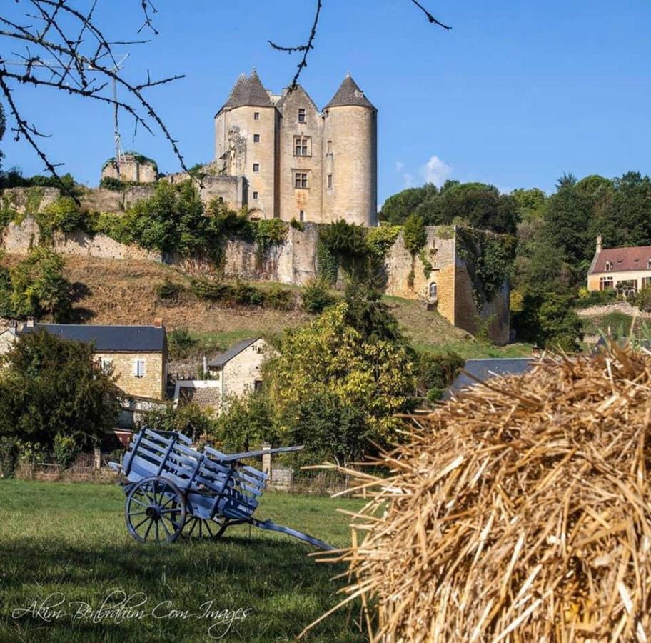 Petite Maison En Pierre Au Coeur Du Perigord Noir Salignac Eyvigues Exterior photo